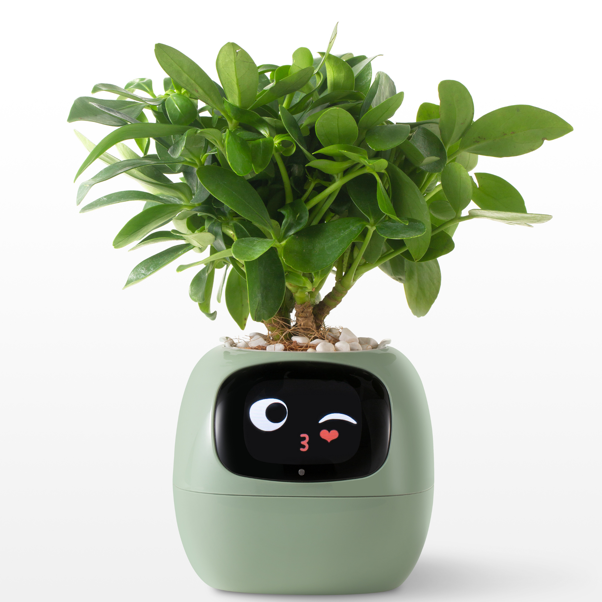 EmojiPlanter™