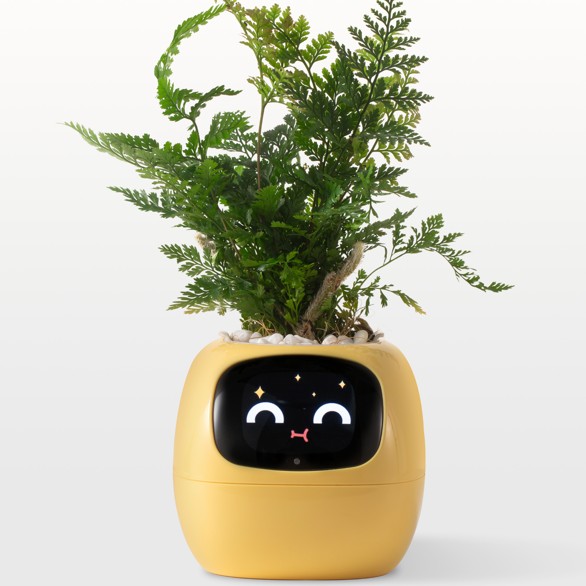 EmojiPlanter™