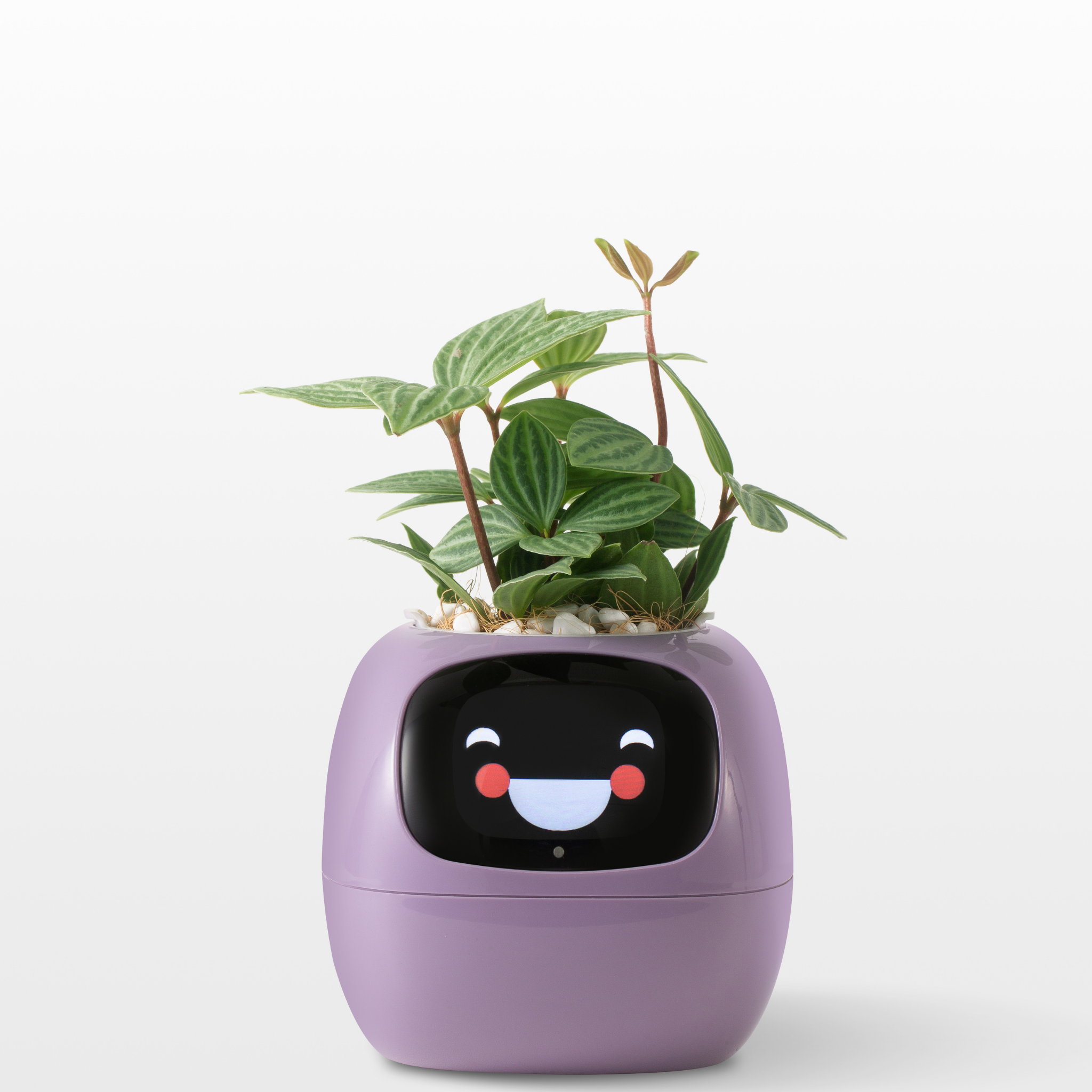 EmojiPlanter™