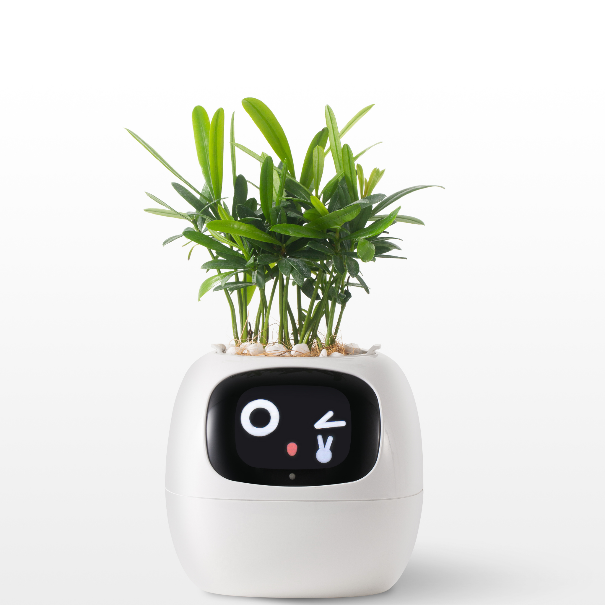 EmojiPlanter™