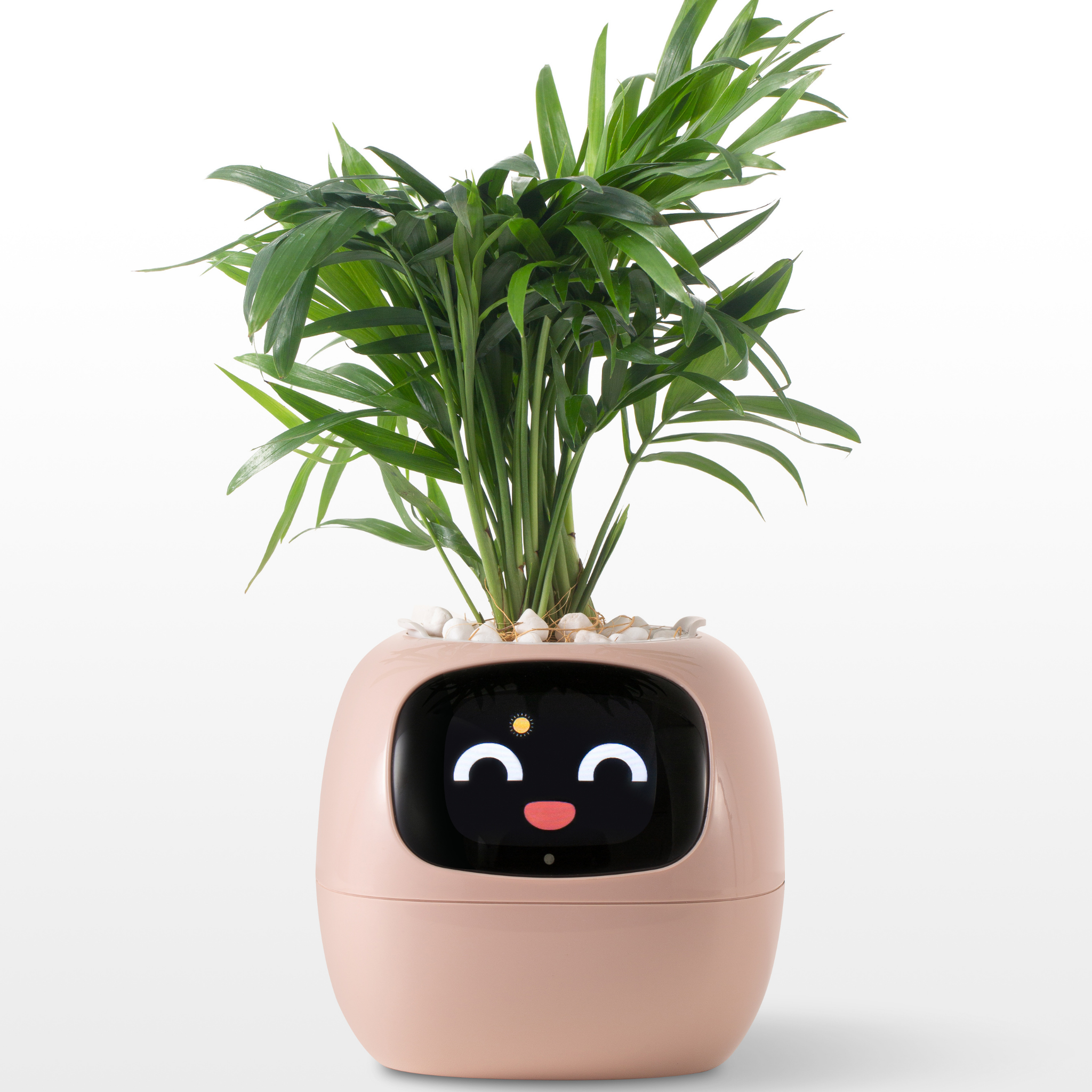 EmojiPlanter™